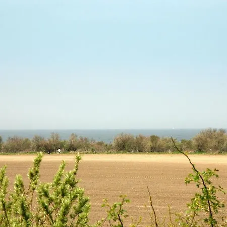 Meerblick - Apartment *