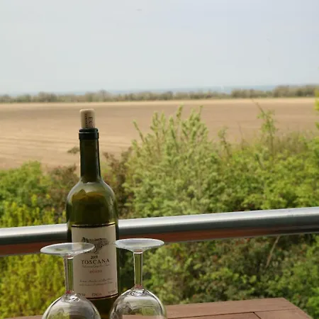 Meerblick - Apartment
