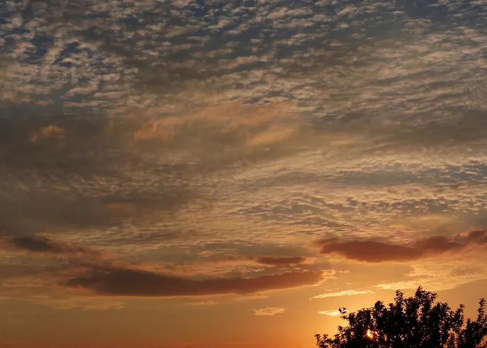 Meerblick - オストゼーバート・ニーンハーゲン